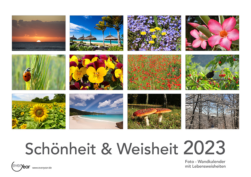 SENIOREN - Kalender